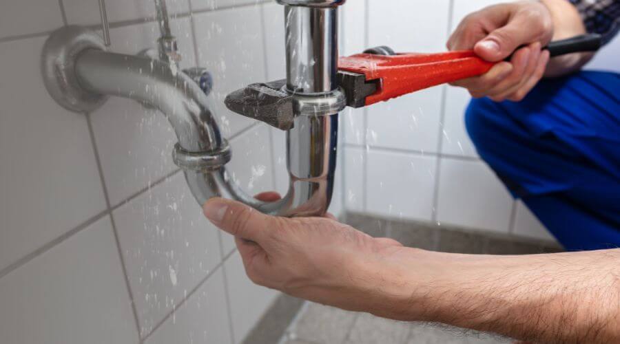 Professional Leak Detection services in Viola, ID